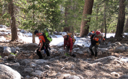 Rescuers Search Skyline Trail