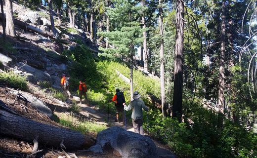 Rescuers and Subject Hiking Out